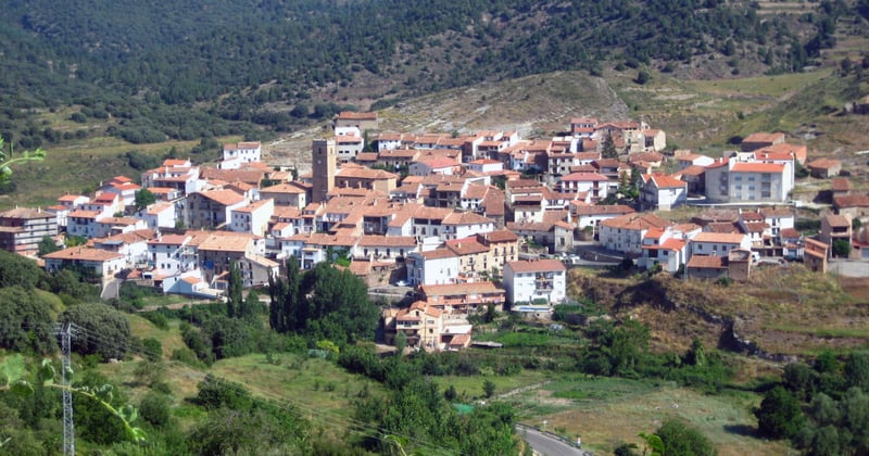 Blog d'actualités et d'informations : suivre la maison au fil des saisons