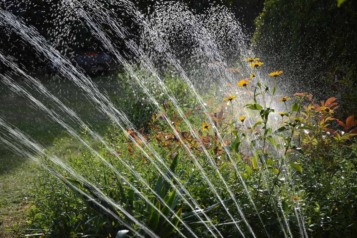 Découvrez les techniques innovantes pour jardin à adopter en 2026 !