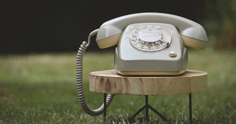 Quelle pièce vintage pour quel type de jardin
