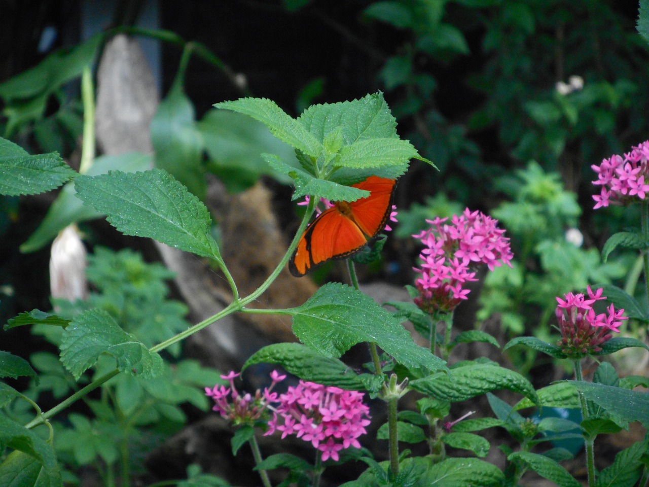 g6f9082e2013fc9a0c8a51e515f3f1cdff8eef8db5fc2998188aff9a62124e632b3975d4ad7d8ae8915519a86845c245e12030d26df38489072b9c936bc9be1a5 1280