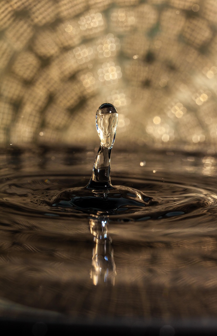 découvrez les bases du traitement de la remontée capillaire, une méthode essentielle pour prévenir et réparer les dégâts d'humidité dans les bâtiments.